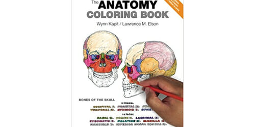 Anatomy Coloring Book